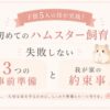 初めてのハムスター飼育についてまとめた、パステル調のシンプルなアイキャッチ画像。ハムスターと回し車のイラストを添えながら、『3つの事前準備』と『我が家の約束事』という文字が、やさしい色合いで大きく配置されている。